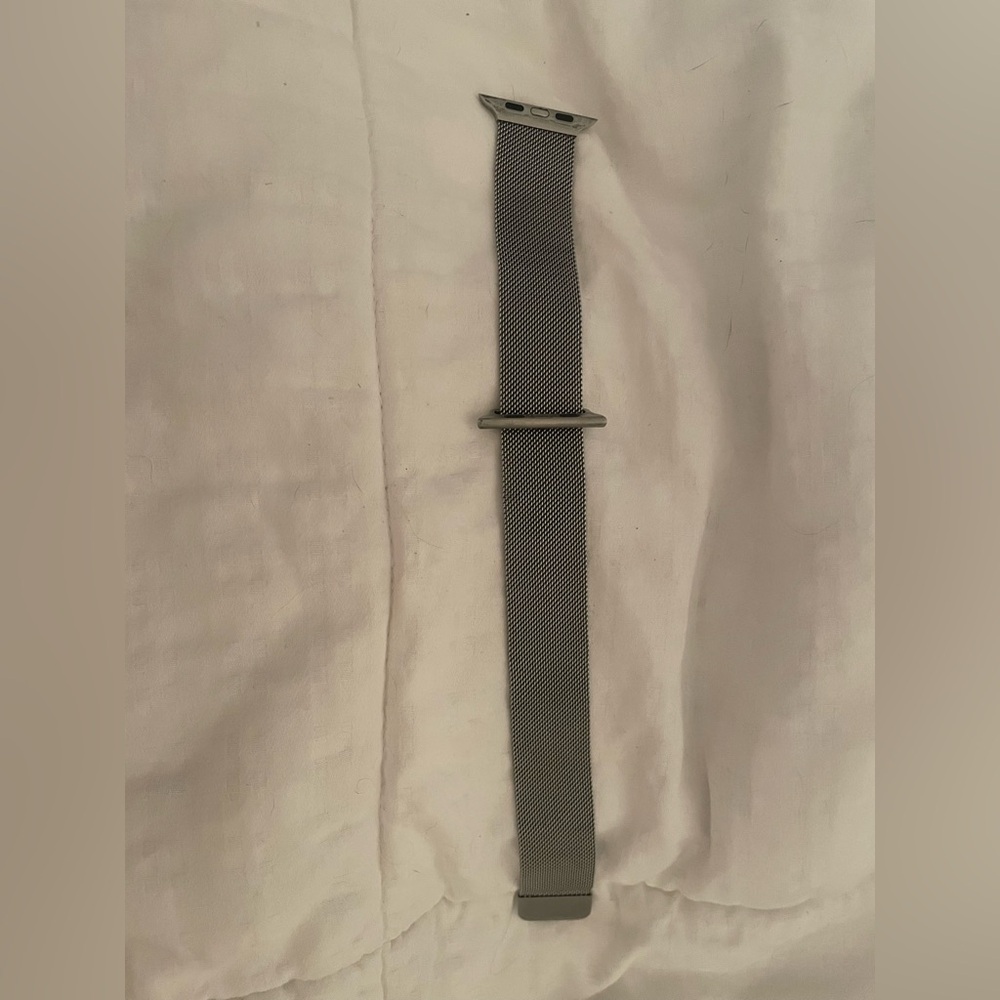 Silver Mesh Apple Watch Band